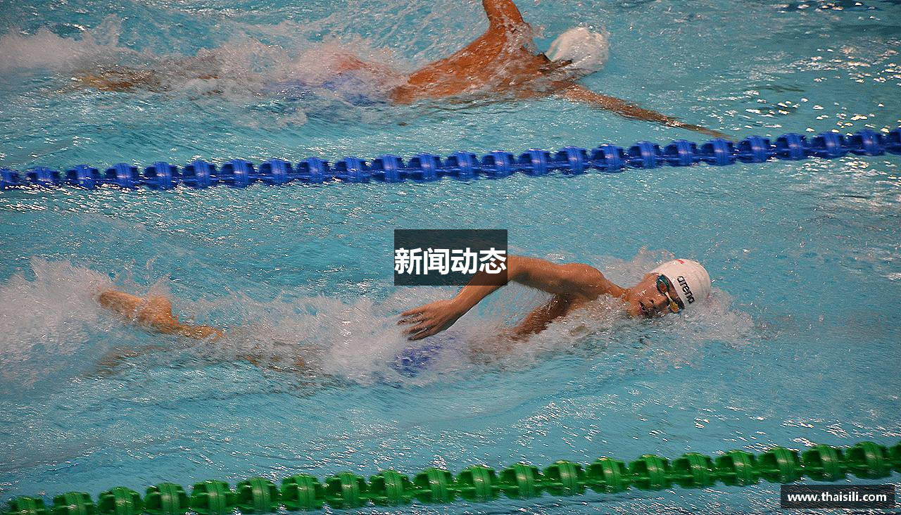 新闻动态